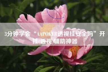 3分钟学会“AAPOKER透视挂安全吗	”开挂(透视)辅助神器