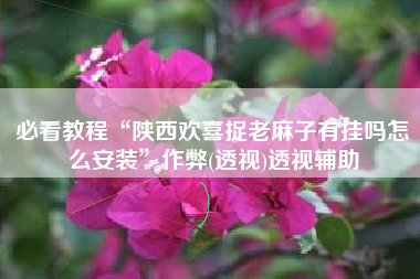 必看教程“陕西欢喜捉老麻子有挂吗怎么安装	”作弊(透视)透视辅助