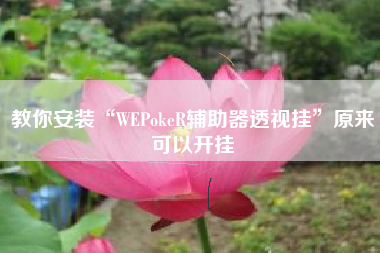 教你安装“WEPokeR辅助器透视挂	”原来可以开挂