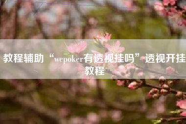 教程辅助“wepoker有透视挂吗”透视开挂教程