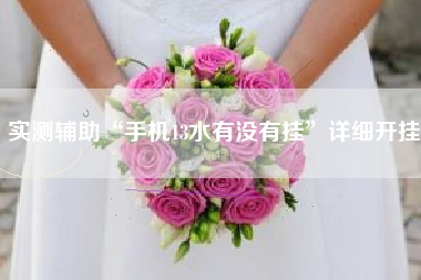 实测辅助“手机13水有没有挂”详细开挂