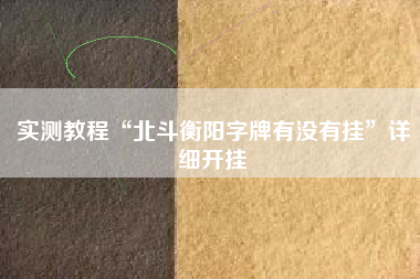实测教程“北斗衡阳字牌有没有挂	”详细开挂