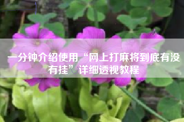 一分钟介绍使用“网上打麻将到底有没有挂”详细透视教程