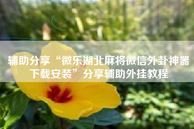 辅助分享“微乐湖北麻将微信外卦神器下载安装”分享辅助外挂教程