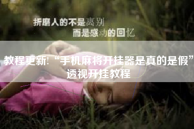 教程更新!“手机麻将开挂器是真的是假	”透视开挂教程