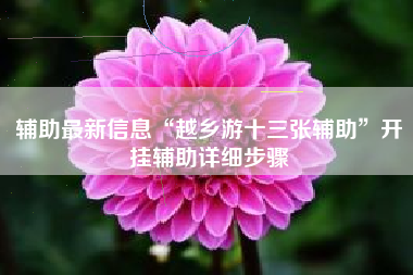 辅助最新信息“越乡游十三张辅助”开挂辅助详细步骤