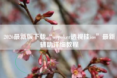 2026最新版下载“wepoker透视挂ios”最新辅助详细教程