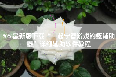 2026最新版下载“一起宁德游戏钓蟹辅助器”详细辅助软件教程