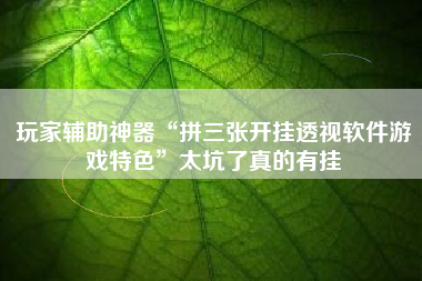 玩家辅助神器“拼三张开挂透视软件游戏特色	”太坑了真的有挂
