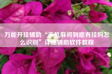 万能开挂辅助“手机麻将到底有挂吗怎么识别”详细辅助软件教程