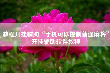 教程开挂辅助“手机可以控制普通麻将”开挂辅助软件教程