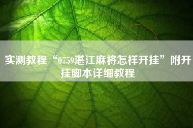 实测教程“0759湛江麻将怎样开挂”附开挂脚本详细教程