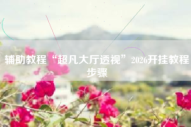 辅助教程“超凡大厅透视”2026开挂教程步骤