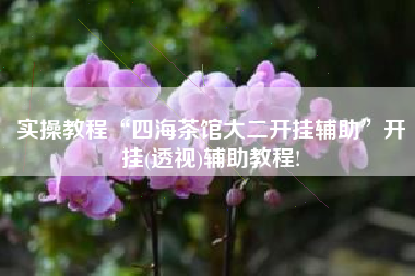 实操教程“四海茶馆大二开挂辅助”开挂(透视)辅助教程!