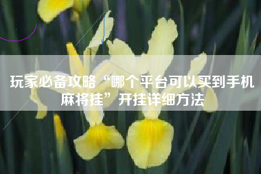 玩家必备攻略“哪个平台可以买到手机麻将挂”开挂详细方法