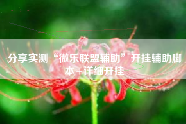 分享实测“微乐联盟辅助”开挂辅助脚本+详细开挂