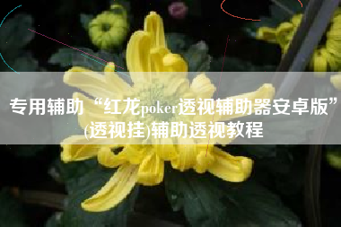 专用辅助“红龙poker透视辅助器安卓版”(透视挂)辅助透视教程