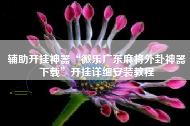 辅助开挂神器“微乐广东麻将外卦神器下载”开挂详细安装教程