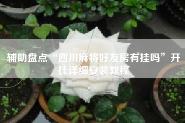 辅助盘点“四川麻将好友房有挂吗”开挂详细安装教程