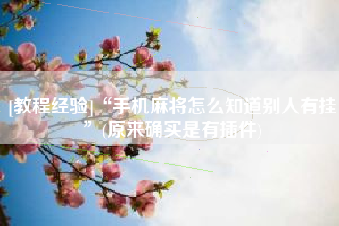 [教程经验]“手机麻将怎么知道别人有挂”(原来确实是有插件)