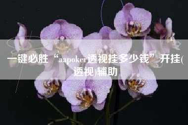 一键必胜“aapoker透视挂多少钱”开挂(透视)辅助