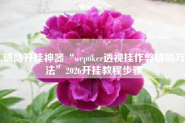 辅助开挂神器“wepoker透视挂作弊辅助方法”2026开挂教程步骤