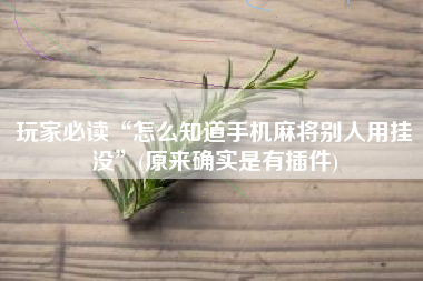 玩家必读“怎么知道手机麻将别人用挂没”(原来确实是有插件)