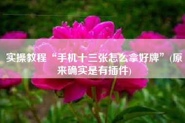 实操教程“手机十三张怎么拿好牌”(原来确实是有插件)
