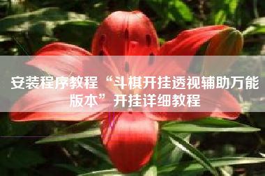 安装程序教程“斗棋开挂透视辅助万能版本”开挂详细教程