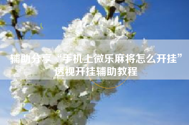 辅助分享“手机上微乐麻将怎么开挂”透视开挂辅助教程