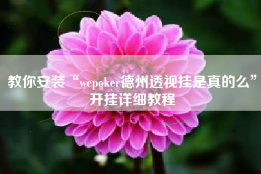 教你安装“wepoker德州透视挂是真的么	”开挂详细教程