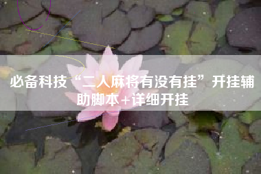 必备科技“二人麻将有没有挂”开挂辅助脚本+详细开挂