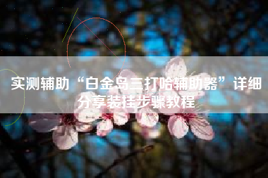 实测辅助“白金岛三打哈辅助器	”详细分享装挂步骤教程