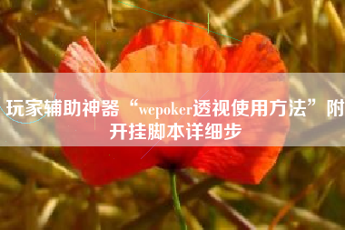 玩家辅助神器“wepoker透视使用方法”附开挂脚本详细步