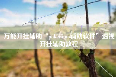 万能开挂辅助“pokemmo辅助软件”透视开挂辅助教程