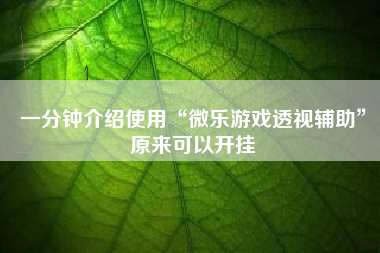 一分钟介绍使用“微乐游戏透视辅助”原来可以开挂