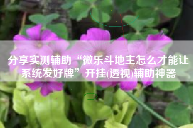 分享实测辅助“微乐斗地主怎么才能让系统发好牌	”开挂(透视)辅助神器