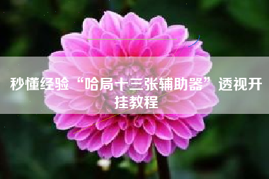 秒懂经验“哈局十三张辅助器”透视开挂教程