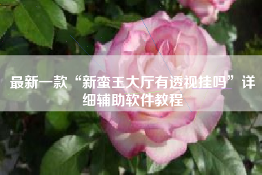 最新一款“新蛮王大厅有透视挂吗”详细辅助软件教程