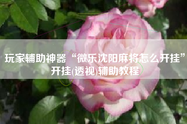 玩家辅助神器“微乐沈阳麻将怎么开挂”开挂(透视)辅助教程