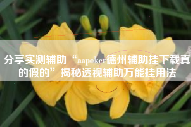 分享实测辅助“aapoker德州辅助挂下载真的假的”揭秘透视辅助万能挂用法