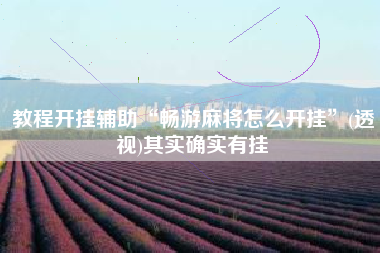教程开挂辅助“畅游麻将怎么开挂	”(透视)其实确实有挂