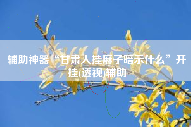 辅助神器“甘肃人挂麻子暗示什么	”开挂(透视)辅助