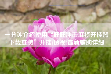 一分钟介绍使用“旺旺冲击麻将开挂器下载安装”开挂(透视)最新辅助详细