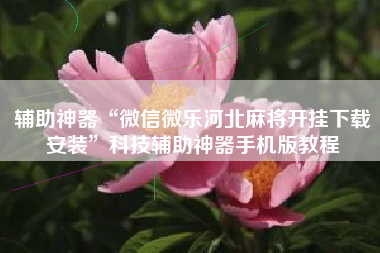 辅助神器“微信微乐河北麻将开挂下载安装”科技辅助神器手机版教程