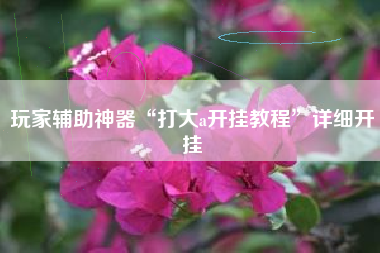 玩家辅助神器“打大a开挂教程”详细开挂