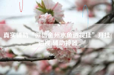 真实辅助“微信金州水鱼透视挂”开挂(透视)辅助神器