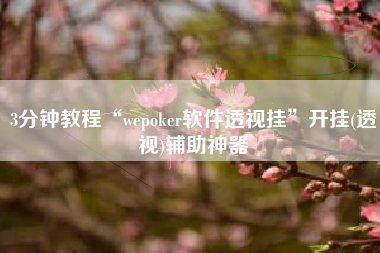 3分钟教程“wepoker软件透视挂”开挂(透视)辅助神器
