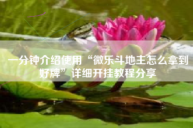 一分钟介绍使用“微乐斗地主怎么拿到好牌	”详细开挂教程分享