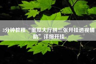 3分钟教程“蜜瓜大厅拼三张开挂透视辅助”详细开挂